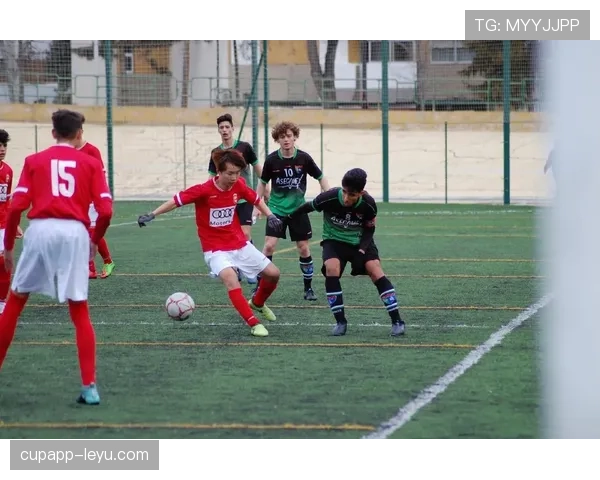 从帕瓦尔到李明：足球精神如何助力直播电商逆袭？一个关于成长与突破的故事